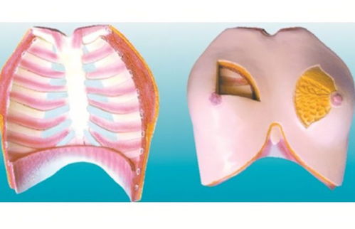 晚上經(jīng)常吸女性乳房，健康嗎？醫(yī)生提醒男人 放過妻子吧