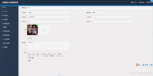 java計算機畢業設計家政服務公司管理信息系 開題報告 源碼 論文